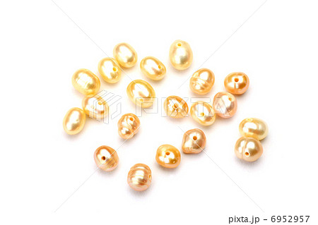 淡水パール 6952957