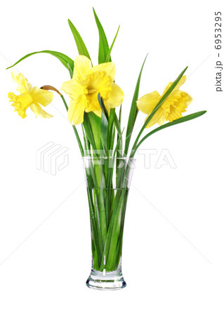 Beautiful spring flowers in vase 6953295