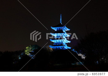 備中国分寺のライトアップ 6953977