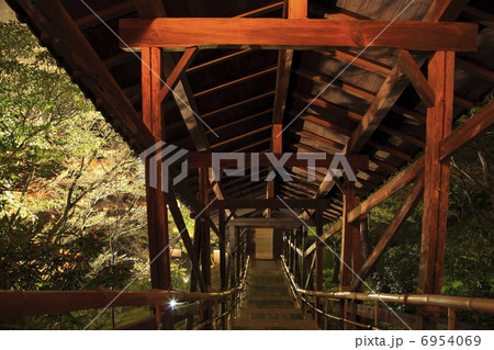 高台寺臥龍廊 6954069