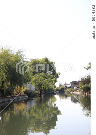 柳川 川下り 柳 柳川 川下り 柳 6954232