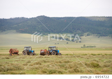hay harvesting hay harvesting 6954722