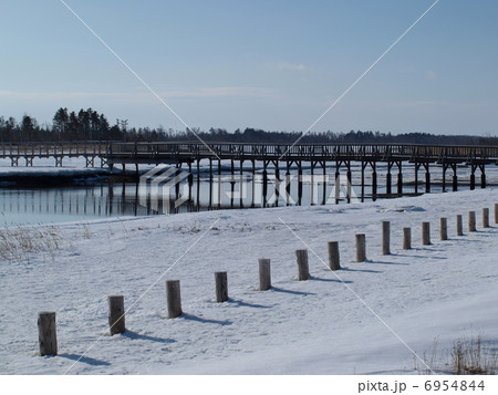 冬の春国岱 6954844