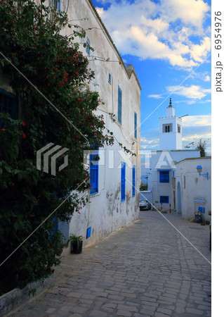 シディ・ブ・サイト シディ・ブ・サイト 6954976