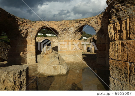 カルタゴ 6955007