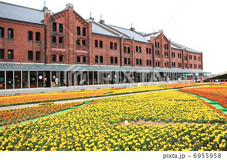 横浜赤レンガ倉庫 6955958