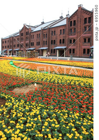 横浜赤レンガ倉庫 横浜赤レンガ倉庫 6955960