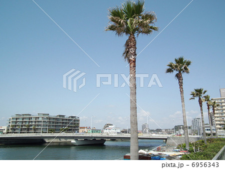 江ノ島 弁天橋 江ノ島 弁天橋 6956343