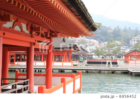 雨の厳島神社 6956452