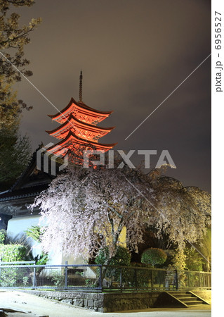 宮島 五重塔の夜景 宮島 五重塔の夜景 6956527