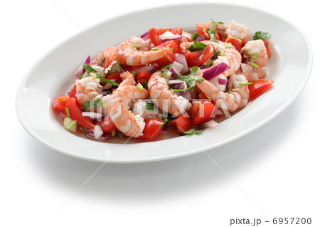 セビッチェ 6957200