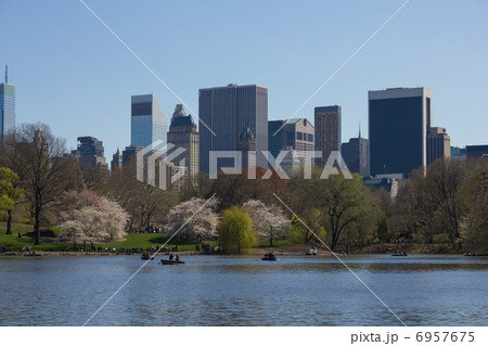 春のニューヨークセントラルパーク 6957675
