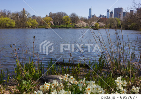 春のニューヨークセントラルパーク 6957677