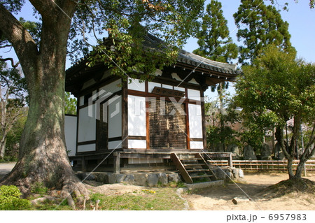 京都 大覚寺 護摩堂 京都 大覚寺 護摩堂 6957983