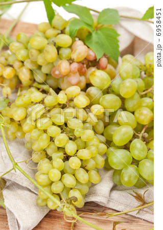 fresh grapes fresh grapes 6958451