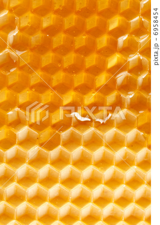 fresh honey in comb 6958454
