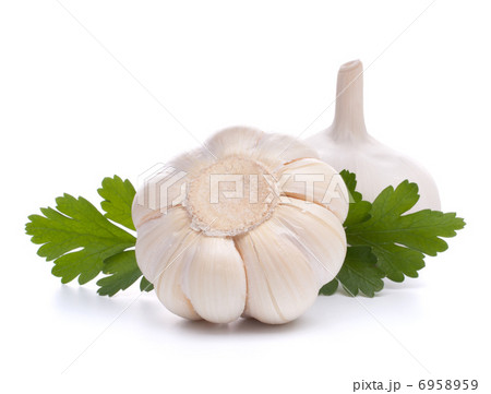 garlic bulb 6958959
