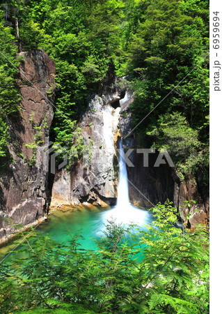 柿其渓谷 6959694