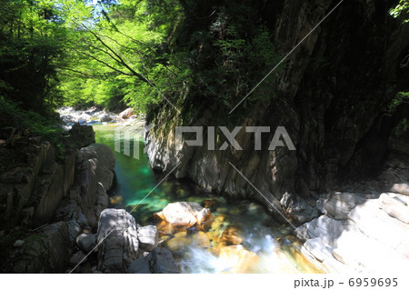 柿其渓谷 柿其渓谷 6959695