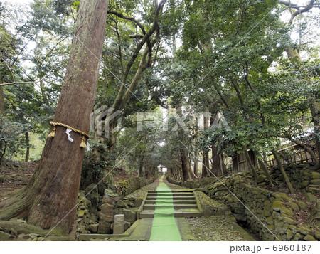 寺の参道 6960187