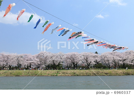 北上展勝地 北上展勝地 6960337