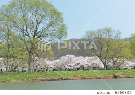 北上展勝地 北上展勝地 6960339