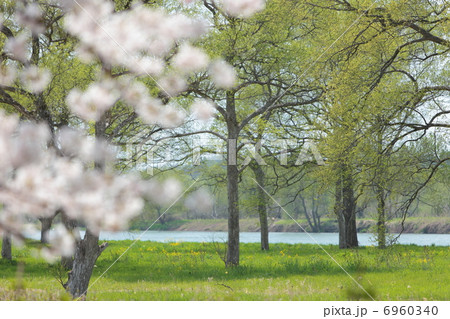 北上展勝地 北上展勝地 6960340