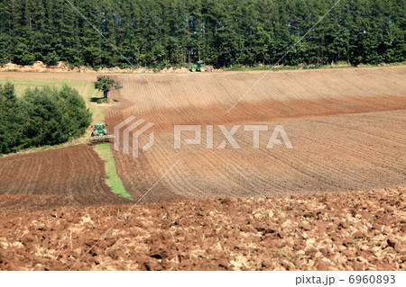 畑の耕作跡 畑の耕作跡 6960893