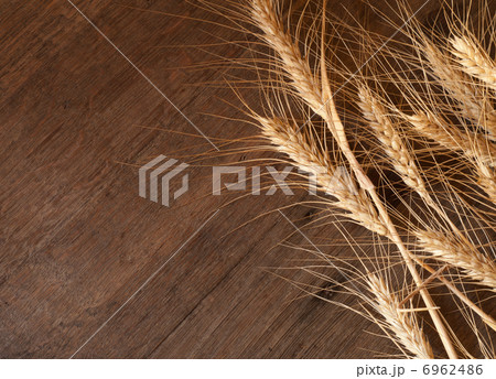 background background 6962486