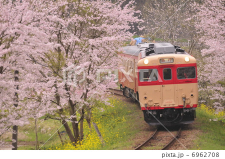 桜といすみ鉄道 6962708