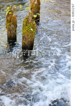 forest river 6963297