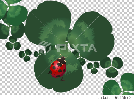 Ladybug and Clover 4 6965650