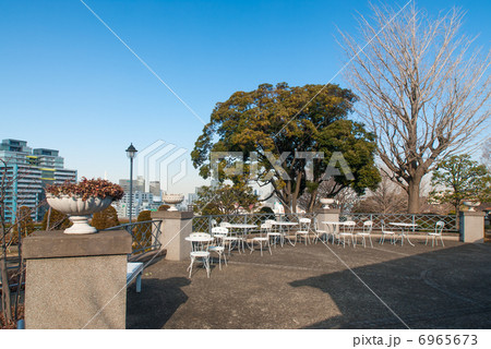 外交官の家　喫茶室 6965673