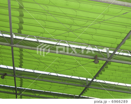 日除けシートの屋根 日除けシートの屋根 6966289