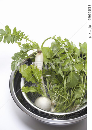 春の七草 6966653