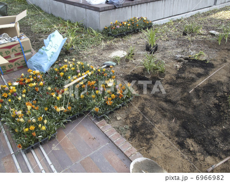 花壇の花の植え替え 6966982