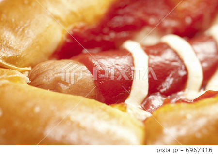 ホットドッグ 6967316