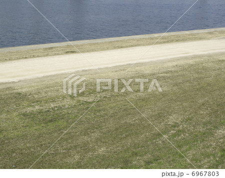 武庫川河川敷の散歩道 6967803