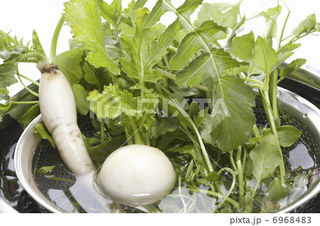 春の七草 6968483