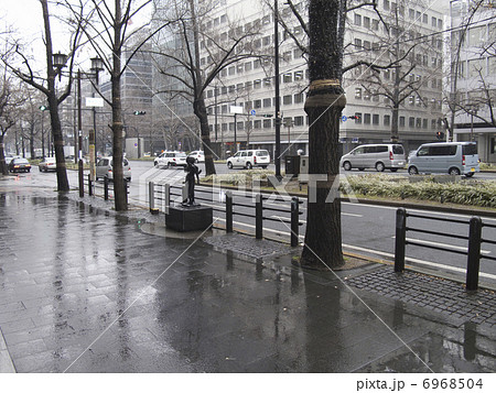 雨の御堂筋の写真素材