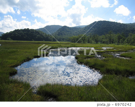 尾瀬の湿原 尾瀬の湿原 6970242