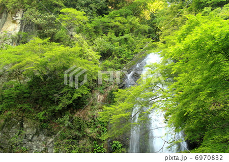 新緑と滝 新緑と滝 6970832