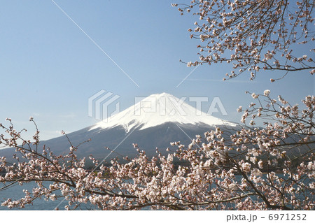富士山と桜 6971252