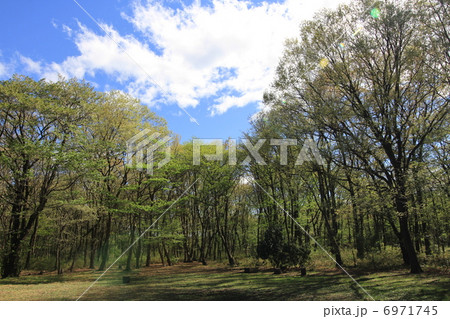 公園 6971745