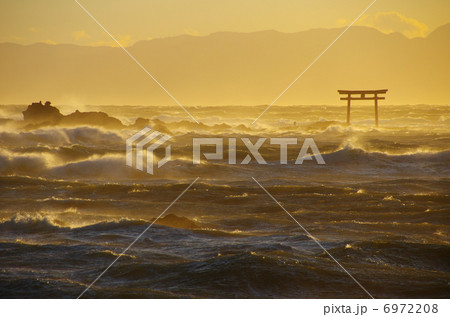 名島 名島 6972208