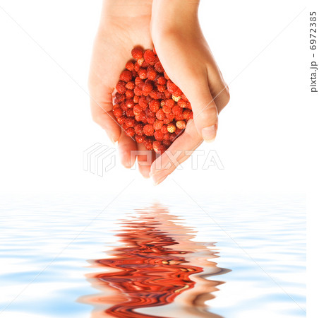 Handful of small red berries reflected in rendered water 6972385