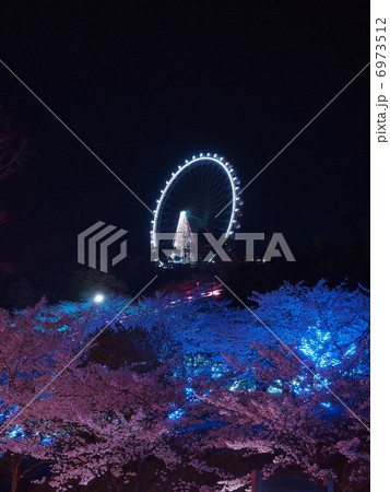 夜桜 6973512