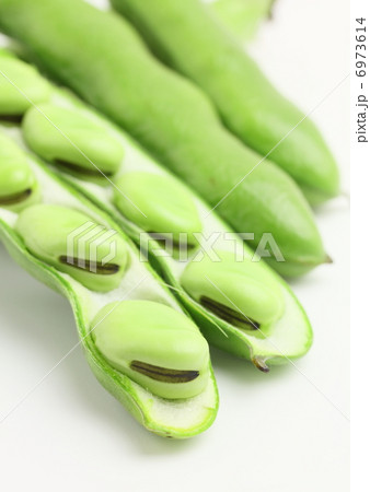 そら豆 野菜 そら豆 野菜 6973614