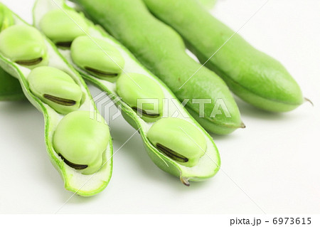 そら豆 野菜 そら豆 野菜 6973615