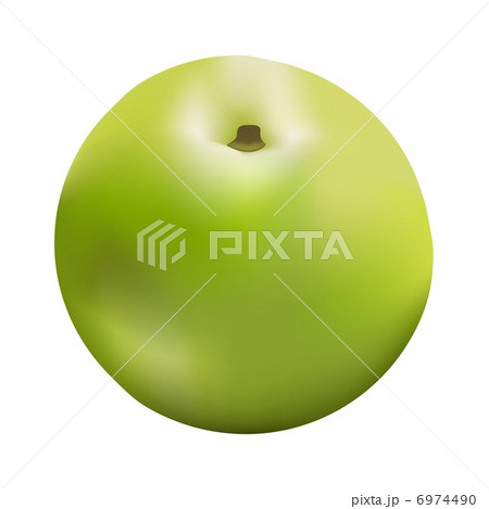 pear - Stock Illustration [6974490] - PIXTA